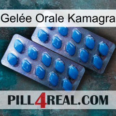 Gelée Orale Kamagra viagra2